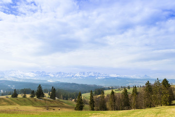 Landscape with snowy peaks of Polish Tatra Mountains and green grassy fields and coniferous trees on the hills.