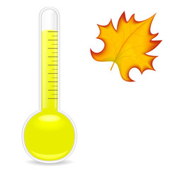 Thermometer and leaf on a white background. Vector Image .