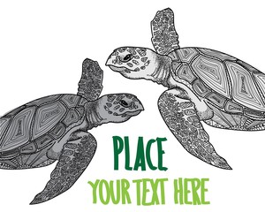 Fototapeta premium The sea turtle swims. Meditative coloring of antistress. Arrows, strips, scales, lines. Logo, print on the T-shirt. Children's painting, drawing by hand. 
