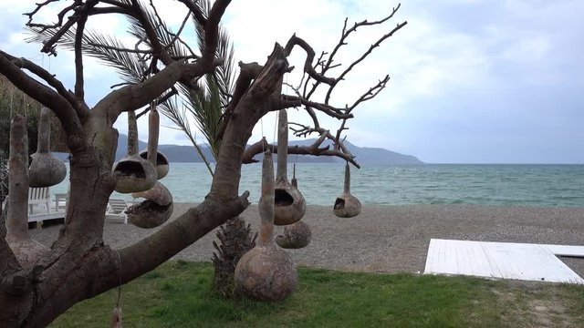 4K Tree decorated with ry pumpkin pots against turbulent sea and a boat