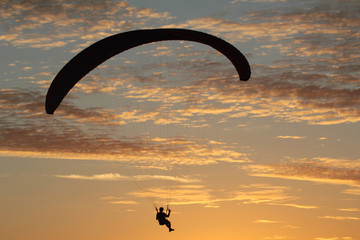 free flight at dusk