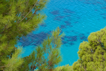 Fototapeta na wymiar Mediterranean pine tree canopies stretch over the calm turquoise colored ocean.