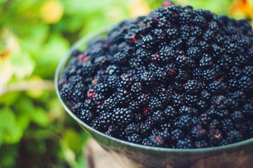 Close up of fresh tasty blackberries as background. 