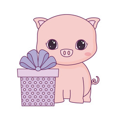 cute piggy animal with gift box