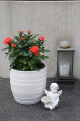 Am Friedhof, Urnengrab, Grabpflege, Tod, Sterben, Trauer