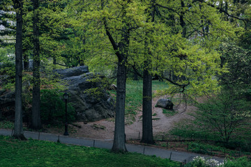 New York City - USA - Apr 26 2019: Spring landscape in Central Park New York City