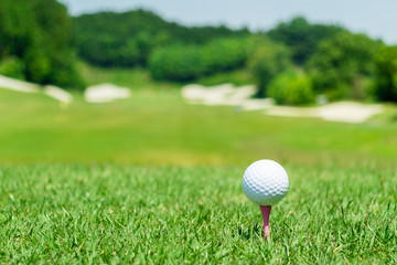 ゴルフ　ティーグラウンド