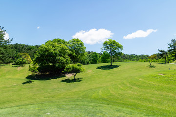 ゴルフコース