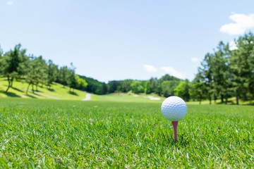 ゴルフ　ティーグラウンド