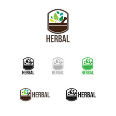 herbal green logo set