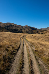 The rolling hills of Arrowtown in New Zealand at the start of Autumn