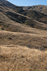 The rolling hills of Arrowtown in New Zealand at the start of Autumn