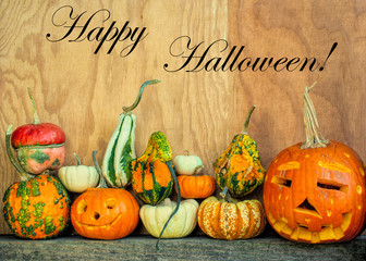 Halloween copy space with pumpkins and gourds against wooden wall and background