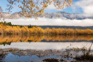 Autumn colours at Lake Wakatipu in Glenorchy, New Zealand