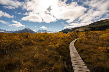 Fototapeta premium A Wooden walkway in Glenorchy, New Zealand