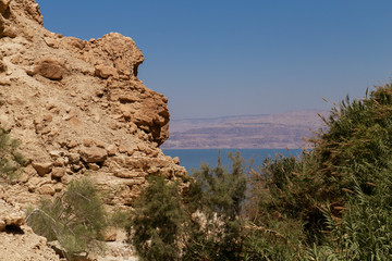 Fototapeta na wymiar En Gedi - Dead Sea - Israel 