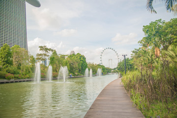 Gardens by the bay park in Singapore.