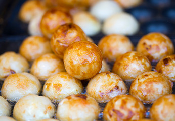 Japanese food Fried.Original Takoyaki.bowl rice