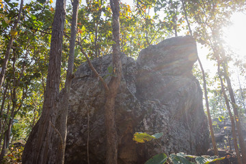 Obraz premium King Seat Stone or Rock at Phayao Attractions Northern Thailand Travel with Sun Light