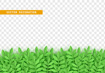 Leaves background. foliage isolated. vector leaf pattern.