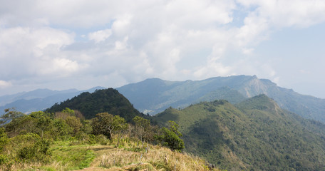 Obraz premium Landscape Mountain with Meadow Tree Sky and Cloud at Phu Chi Fa Forest Park