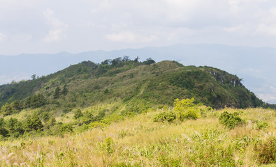 Meadow Mountain on Phu Chi Fa Forest Park with Sky and Cloud Zoom