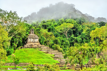 Ruins of Palenque in Chiapas, Mexico