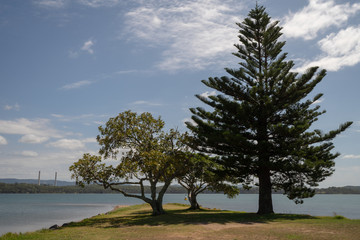 Fototapeta na wymiar Shingle Splitter's Point, Central Coast NSW Australia