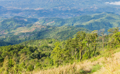 Grass Field on Mountain with Sky and Cloud at Phu Langka National Park Phayao Thailand 4