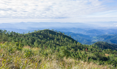 Green Tree Mountain or Hill at Lan Hin Lan Pee Phu Langka National Park Phayao Thailand