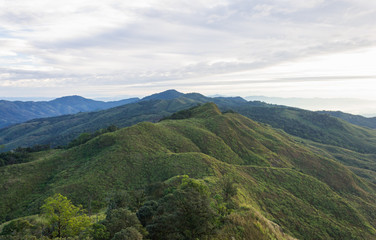 Fototapeta premium Landscape Phu Langka Mountain National Park View Point Phayao Thailand Travel with Tree