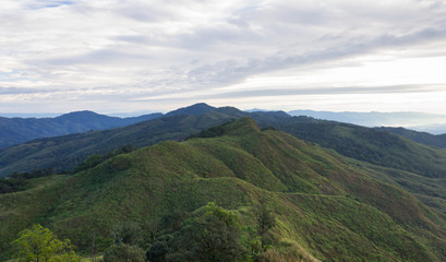 Landscape Phu Langka Mountain National Park View Point Phayao Thailand Travel with Tree 2