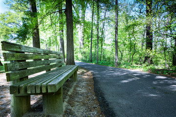 Nature and outdoor in spring time