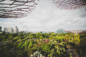 Fototapeta premium Gardens by the bay park in Singapore.