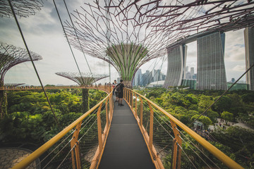 Gardens by the bay in Singapore.