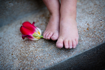 Little girl's bare feet holding a red tulip on concrete stairs