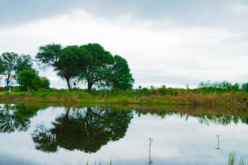 Laguna con Agua Cristalina