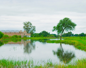 Laguna con Agua Cristalina