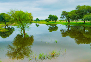 Laguna con Agua Cristalina