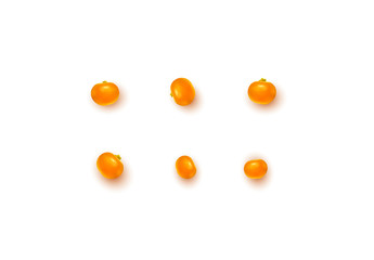 Berries of cranberry isolated on white background