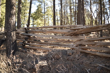 vintage split-rail fence