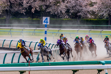 競走馬