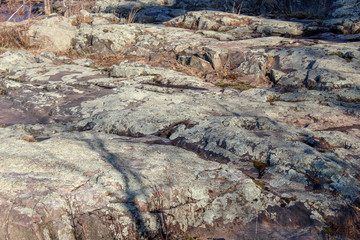 lichens on large rocks