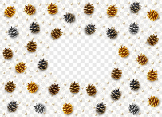 Realistic pine cones isolated on a transparent background