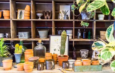 Working space and shelf with garden tools in cozy home garden on summer.