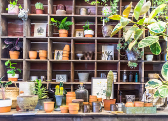 Working space and shelf with garden tools in cozy home garden on summer.