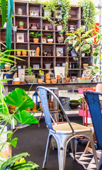 Working space and shelf with garden tools in cozy home garden on summer.