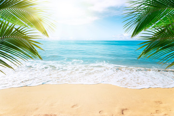  Sunny tropical Caribbean beach with palm trees and turquoise water, island vacation, hot summer day