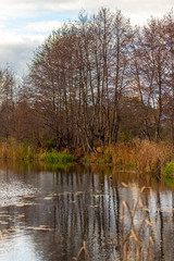 Fototapeta na wymiar Pond in nature in autumn