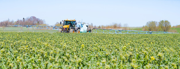 spraying rape field